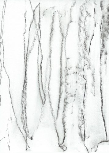 Drawing by Annie Rapstoff
