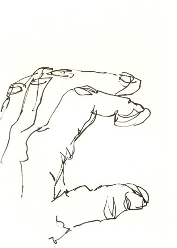 Drawing by Cally Trench