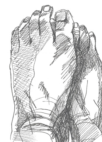 Drawing by Cally Trench