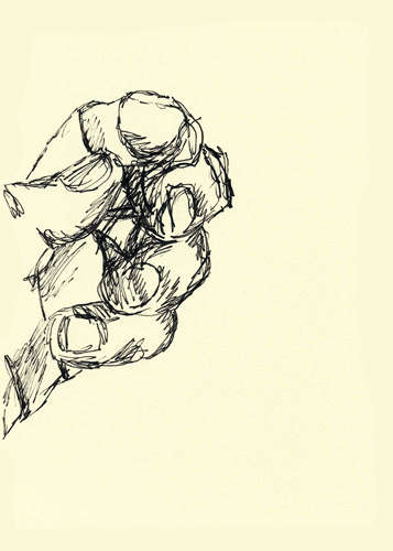 Drawing by Cally Trench