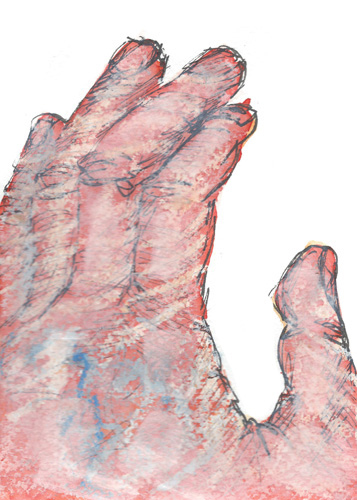 Drawing by Cally Trench