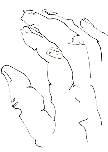 Drawing by Cally Trench