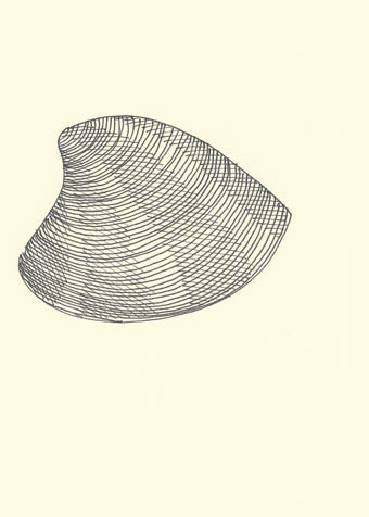 Drawing by Cally Trench