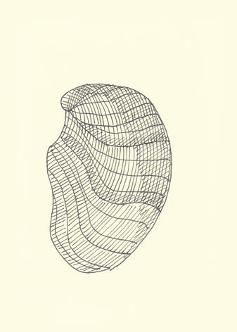 Drawing by Cally Trench