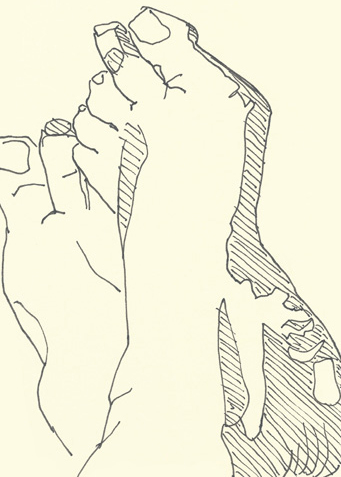 Drawing by Cally Trench