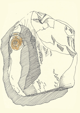 Drawing by Cally Trench