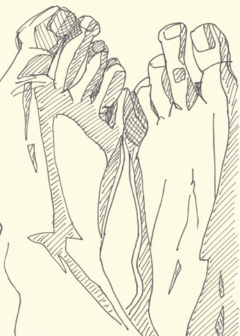 Drawing by Cally Trench