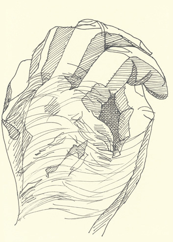 Drawing by Cally Trench