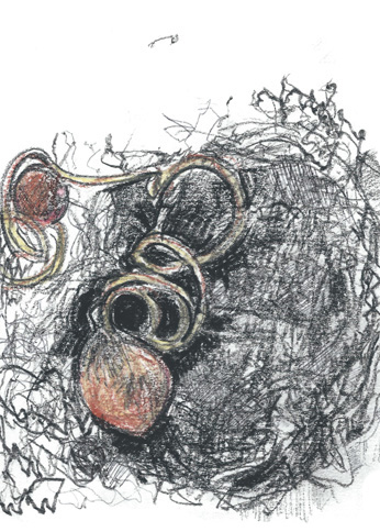 Drawing by Chris Mercier