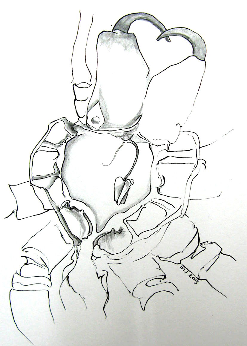 Drawing by Ingrid Jensen