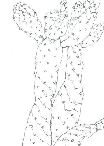 Drawing by Jean Davey Winter