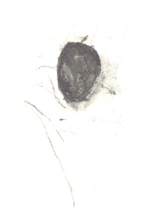 Drawing by Jo Thomas