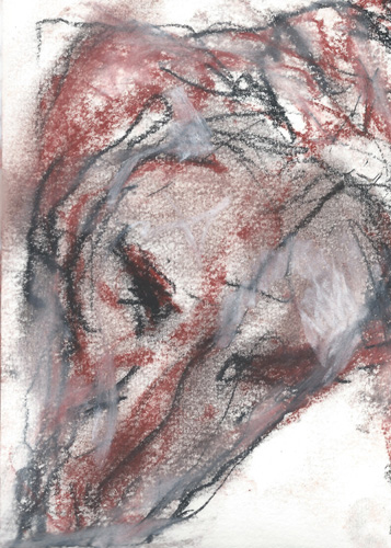 Drawing by Judy Goldhill