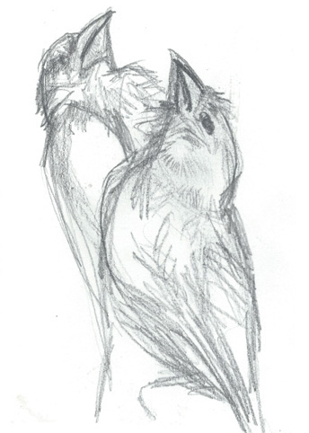 Drawing by June Kingsbury