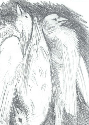 Drawing by June Kingsbury