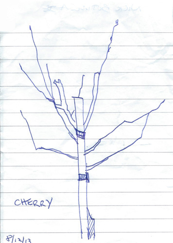 Drawing by Nick Bodimeade