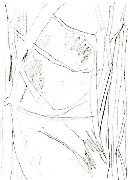 Drawing by Nick Trench