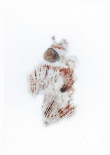 Drawing by Pierre-Yves Freund