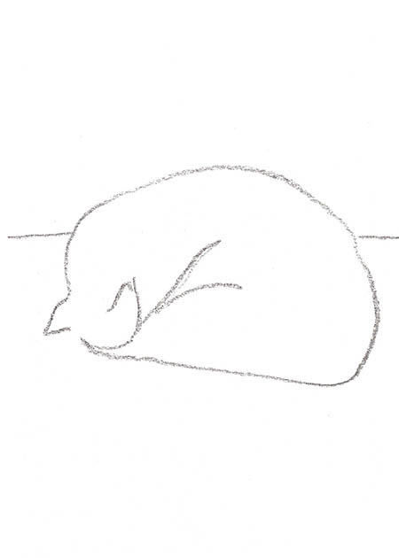 Drawing by Tineke Bruijnzeels