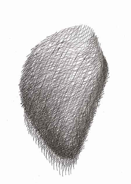 Drawing by Tineke Bruijnzeels