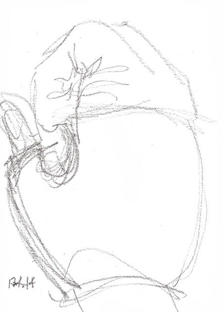 Drawing by Tineke Bruijnzeels