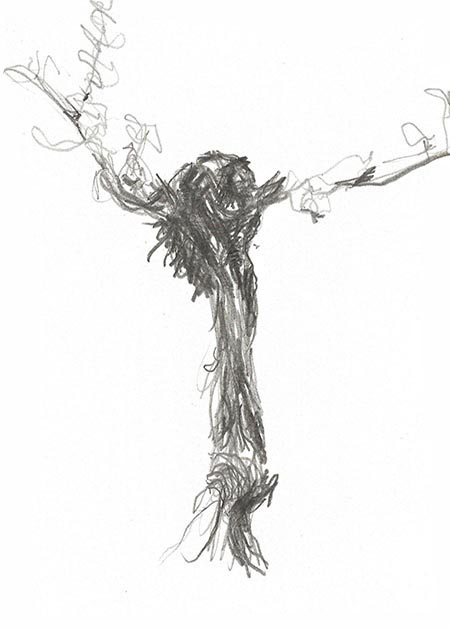 Drawing by Tineke Bruijnzeels