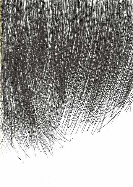 Drawing by Tineke Bruijnzeels