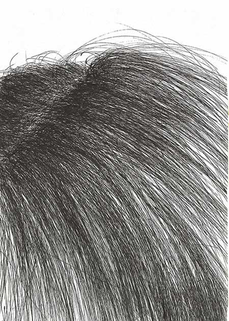 Drawing by Tineke Bruijnzeels