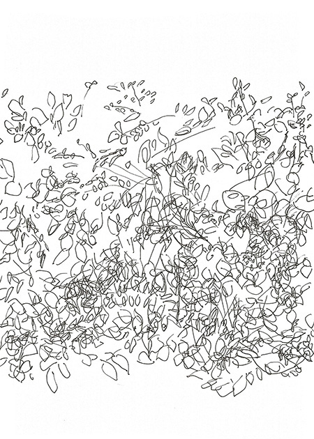 Drawing by Tineke Bruijnzeels
