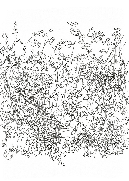 Drawing by Tineke Bruijnzeels