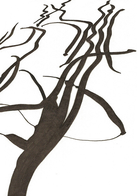 Drawing by Tineke Bruijnzeels