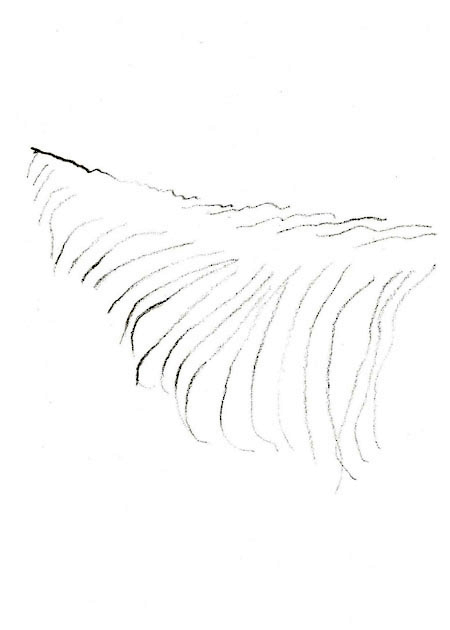 Drawing by Tineke Bruijnzeels
