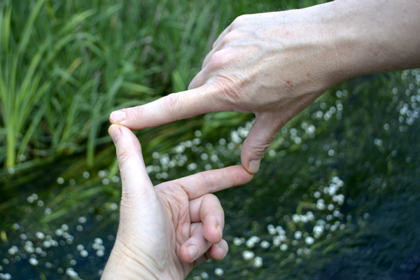 Cally Trench, Artists' Hands Photograph 71