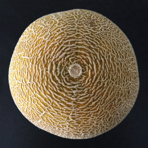 Tineke Bruijnzeels, Circles Photograph 3