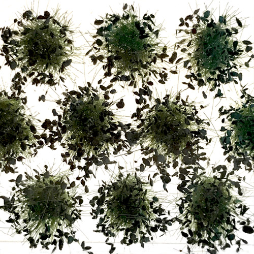 Tineke Bruijnzeels, Photograph 17