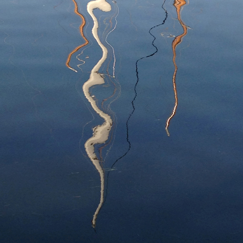 Tineke Bruijnzeels, Photograph 27