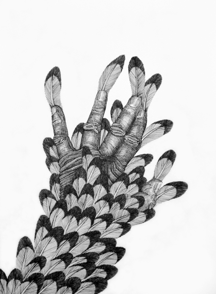 Cally Trench: Metamorphosis (Bird) III
