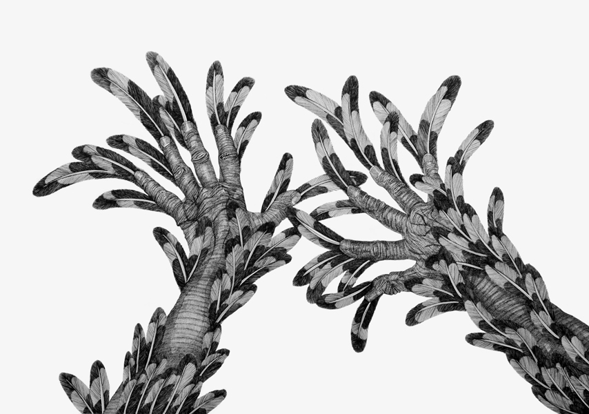 Cally Trench: Metamorphosis (Bird) IX