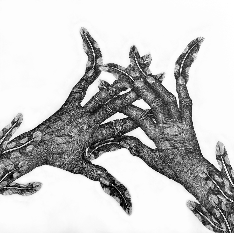 Cally Trench: Metamorphosis (Bird) V