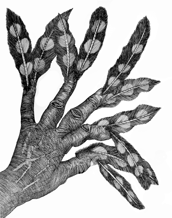 Cally Trench: Metamorphosis (Woodpecker)