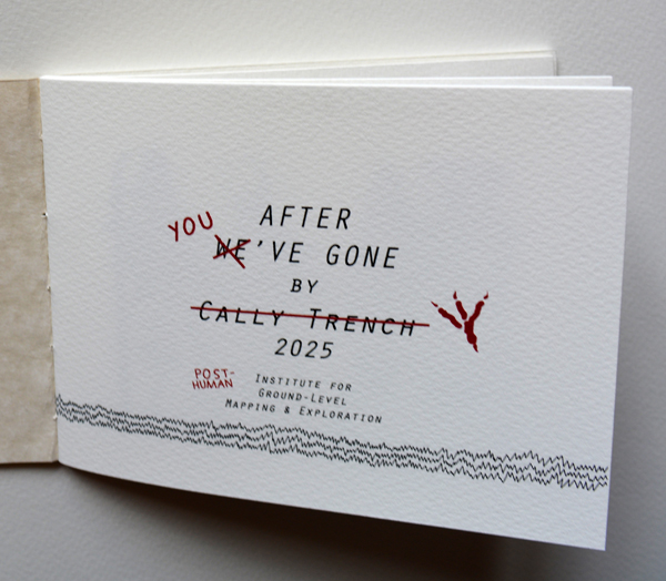 Cally Trench: After We've Gone