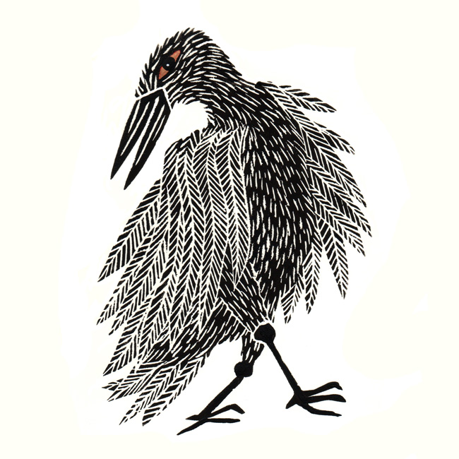 Cally Trench: The Fourteen Stages of Birdhood