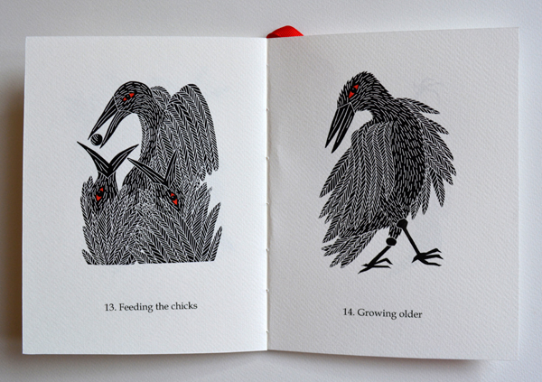 Cally Trench: The Sixteen Stages of Birdhood