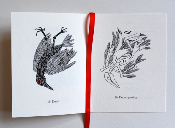 Cally Trench: The Sixteen Stages of Birdhood
