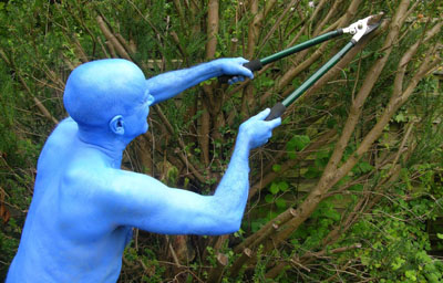 Blue Home Grown
