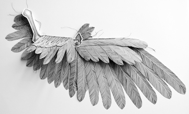 Cally Trench: Book-Wing