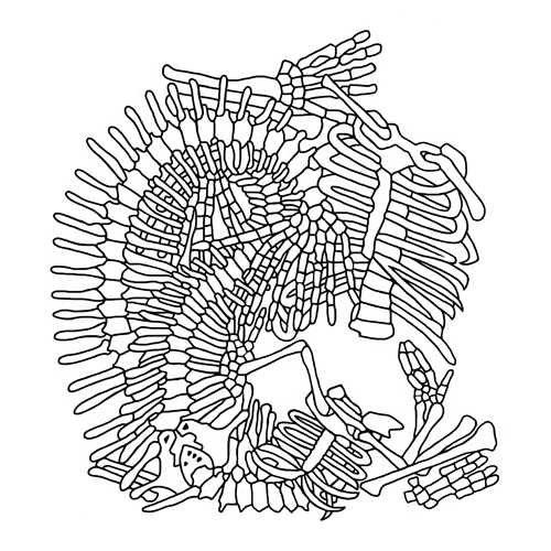 Cally Trench: Linocut prints