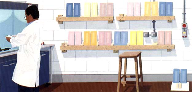 Cally Trench: Paint Testing