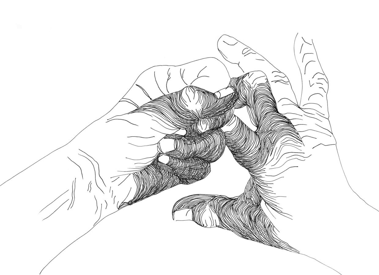 Left Hand, Right Hand III: 161/892, Monday 12th January 2026, 11.37 am - 12.07 pm