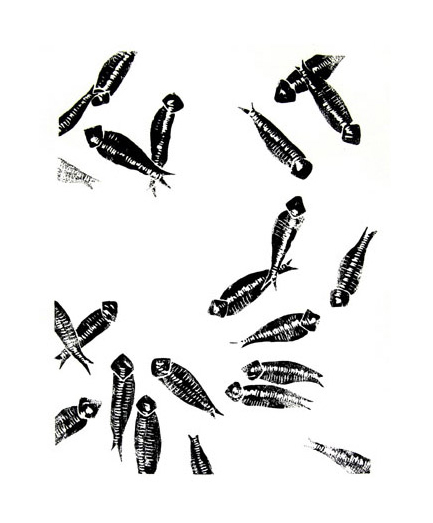 Twenty-Two Fossil Fish